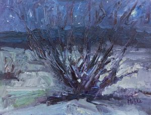 Ocotillo in Starlight 9x12