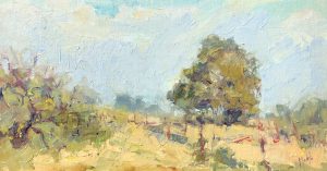 Texas Live Oak 8x16 SOLD