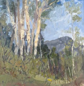 Under the Aspens 12x12 SOLD